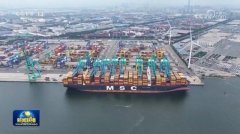 本年前7个月我国区域外贸持续向好